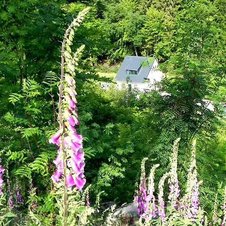 Ferienhaus Buschmuehle - Stolpen Buitenkant foto