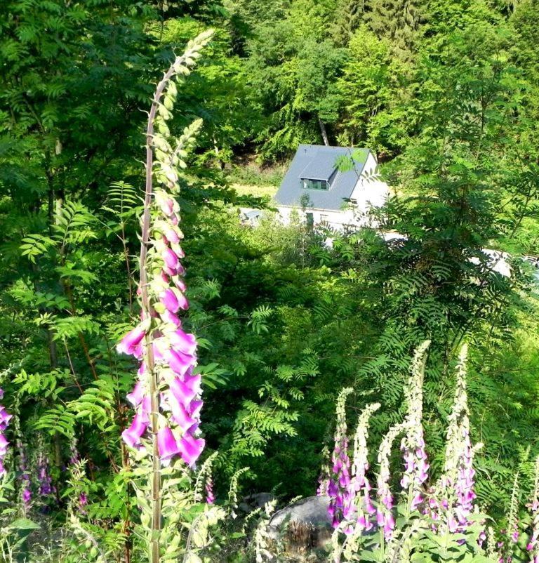 Buschmuehle - Stolpen